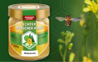 DIB Zertifizierungskurs